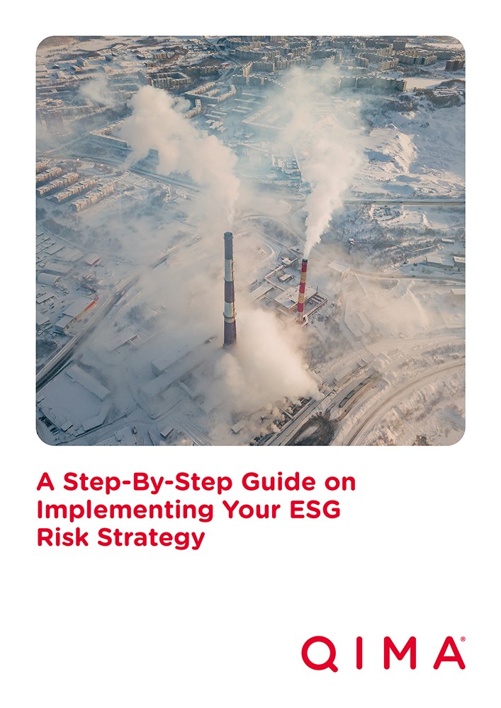 A Step-By-Step Guide on Implementing Your ESG Risk Strategy