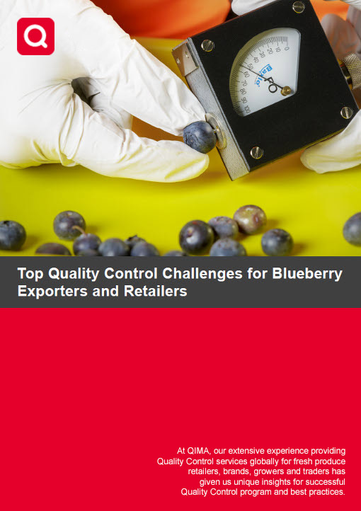 Top Quality Control Challenges for Blueberry Importers, Exporters and Retailers